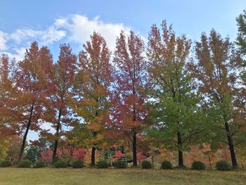 Trees on field against sky during autumn