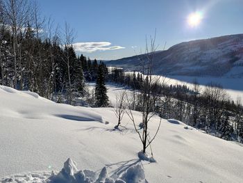 Scenic view of snow covered field against sky