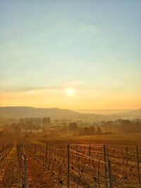 Scenic view of field against sky during sunset