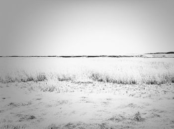 Scenic view of landscape against clear sky