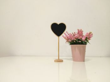 Flowers in pot by blank sign on table against white wall