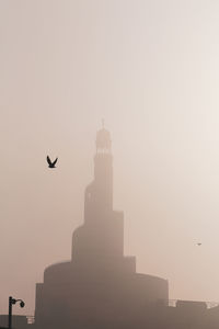 Bird flying against clear sky