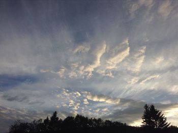 Low angle view of silhouette trees against sky during sunset