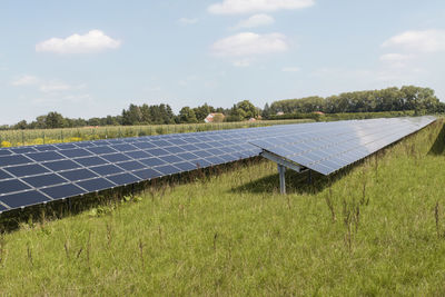 Solar panels on grassy field against sky