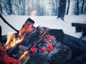 Autumn leaves on log in winter