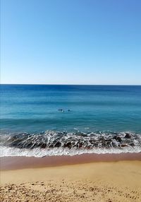 Scenic view of beach