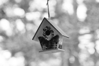 Close-up of birdhouse hanging outdoors