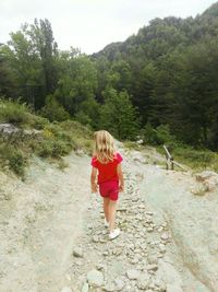 Full length rear view of man walking in forest