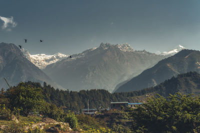 mountain