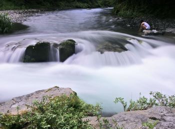 Scenic view of waterfall in forest