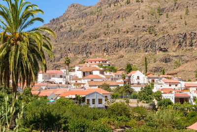 Palm trees on landscape against mountains