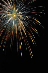 Low angle view of firework against clear sky at night