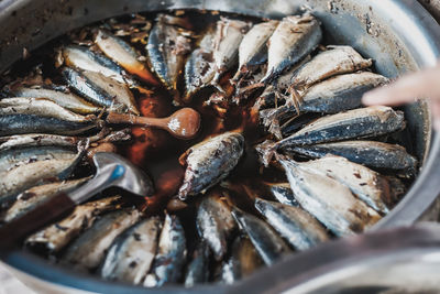 High angle view of fish in container