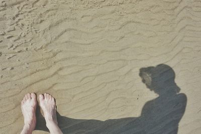 Low section of woman standing on sandy beach