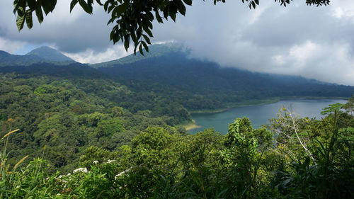 Scenic view of forest and mountains against sky