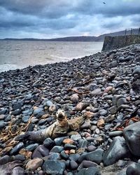 Scenic view of sea against cloudy sky