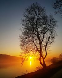 Scenic view of silhouette bare tree at sunset