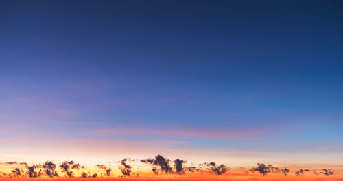 Trees on landscape against sky