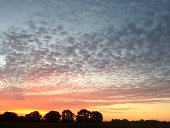 Silhouette trees against dramatic sky during sunset