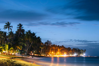 Palm trees on beach