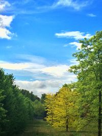 Trees on landscape against cloudy sky