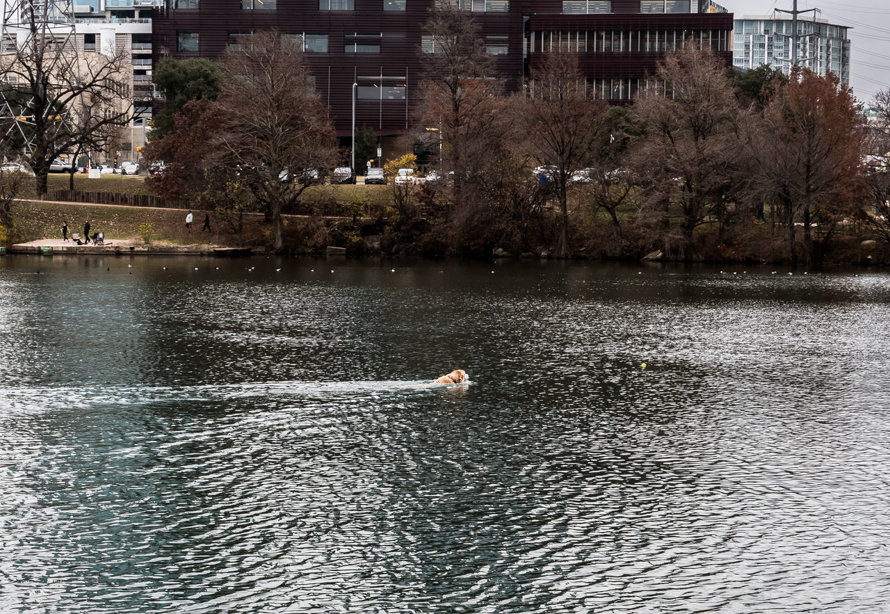 WOMAN SWIMMING IN LAKE