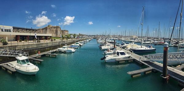 Sailboats moored at harbor