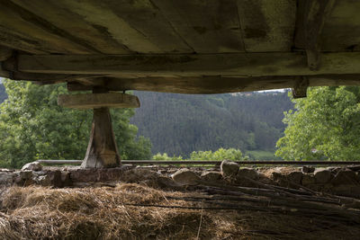 Scenic view of bridge over forest