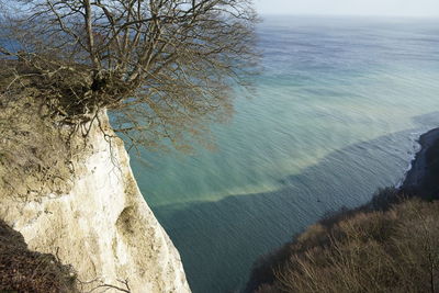 High angle view of sea and trees against sky