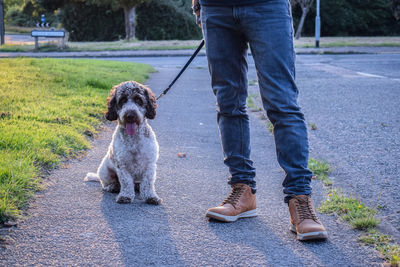 Low section of man with dog