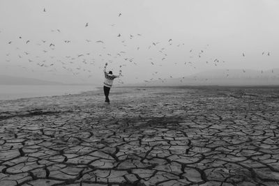 Full length rear view of man standing on cracked landscape with birds flying against sky