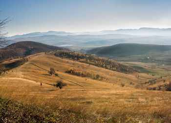 Panoramic view of the forested hills from cluj region, transylva