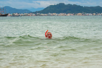 Close-up of crab in sea against sky