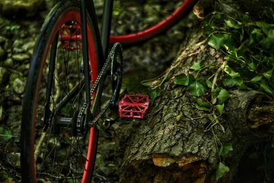 Close-up of red heart shape made of tree