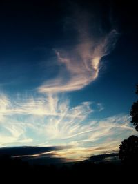 Silhouette of trees against cloudy sky