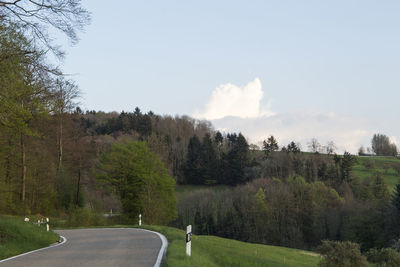 Panoramic shot of road amidst trees against sky