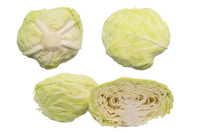 Directly above shot of cabbage against white background