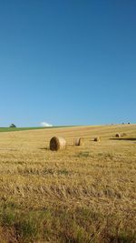 Scenic view of agricultural field against blue sky