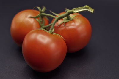 Close-up of tomatoes growing on table against black background