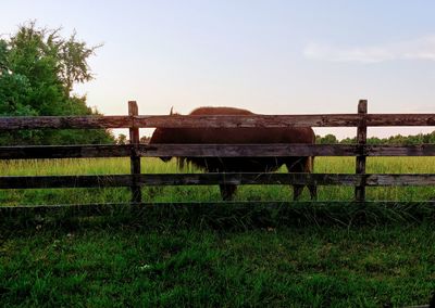 Fence on field against clear sky