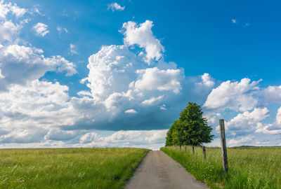 Road amidst plants on field against sky