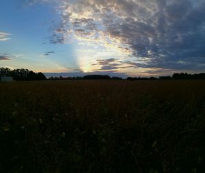 Scenic view of field against sky during sunset