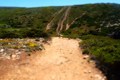 Rear view of man walking on mountain road