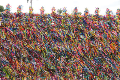 Low angle view of multi colored sky