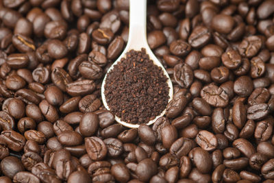 Close-up of coffee beans in the spoon