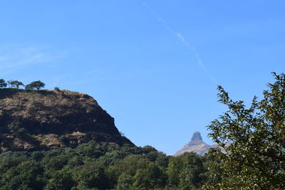 Low angle view of trees on mountain against blue sky