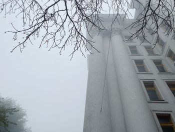 Low angle view of bare tree against sky in city