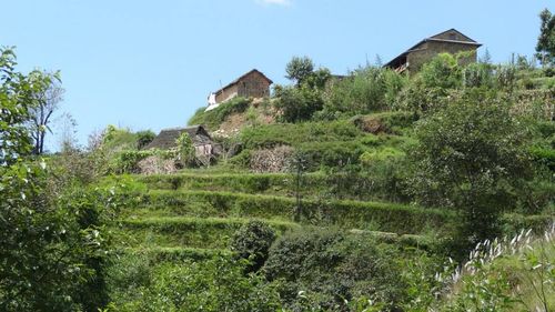 Houses on field against sky