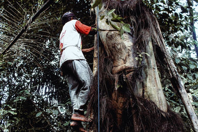 Low angle view of man on tree trunk in forest