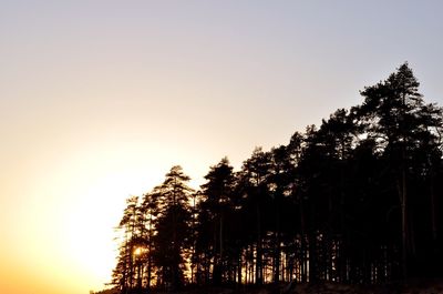 Low angle view of silhouette trees against clear sky